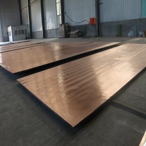 ASTM A265 Pure Nickel Clad Steel Plate Manufacturer RAYIWELL